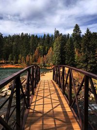 Footbridge amidst trees in forest against sky