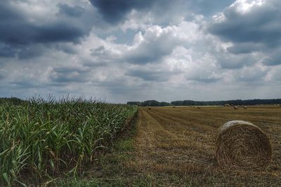 Hay bales on field against sky