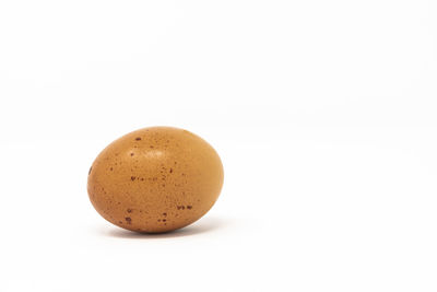 Close-up of egg against white background