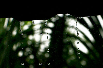 Close-up of water drops on spider web