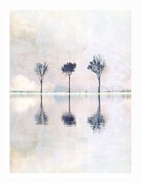 Digital composite image of trees by lake against sky
