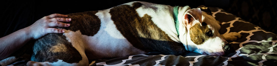 Side view of people sleeping on black background