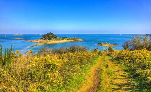 Scenic view of sea against clear blue sky