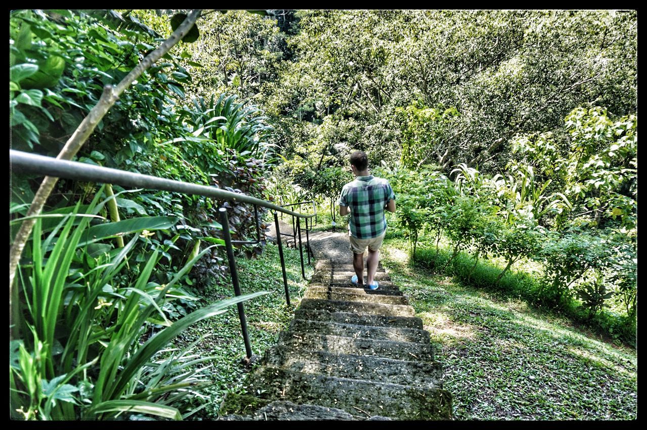 green color, outdoors, plant, day, real people, nature, one person