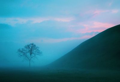 Silhouette trees on landscape against sky