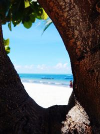 Close-up of tree trunk by sea against sky