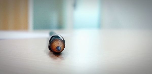 Close-up of snail on table