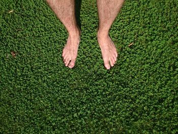 Low section of man standing on grassy field