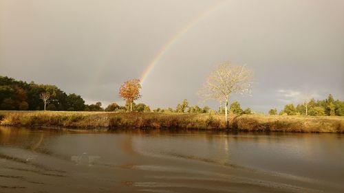 Rainbow over trees against sky