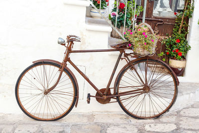 Bicycle parked by potted plants against wall