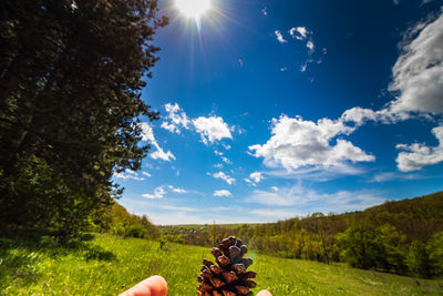 Scenic view of trees against sky