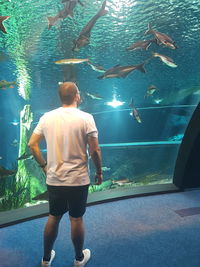 Rear view of man standing in aquarium