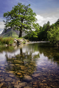 Scenic view of lake by trees against sky