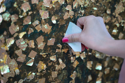 Close-up of hand touching rock