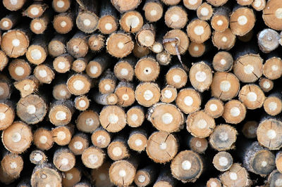 Full frame shot of logs in forest