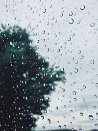 Close-up of water drops on glass