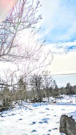 Bare trees on snow covered field against sky