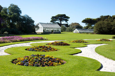 View of lawn and house in garden