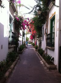 Narrow alley along buildings