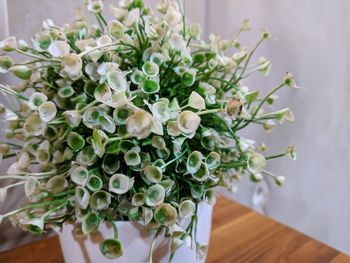 Close-up of potted plant on table