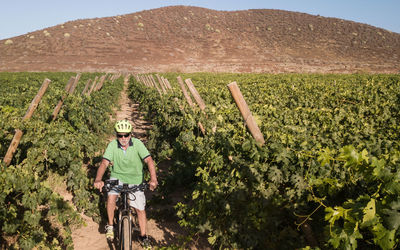 Man riding bicycle on mountain road