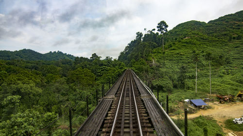 Railroad tracks amidst trees against sky