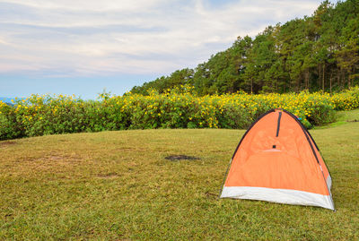 Scenic view of field against sky