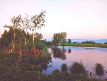 Scenic view of lake in forest against sky