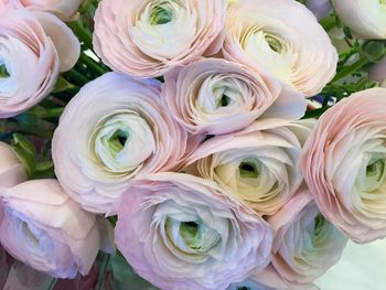 Close-up of pink flowers bouquet