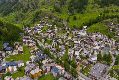 High angle view of townscape and trees in town