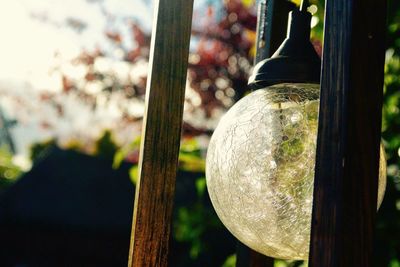 Close-up of hanging outdoors