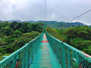 View of bridge amidst trees against sky