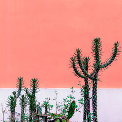 Low angle view of palm tree against orange sky