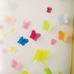 Close-up of multi colored flowers