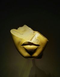 Close-up of object over black background