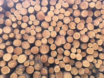 Full frame shot of logs