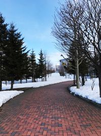 View of trees in winter