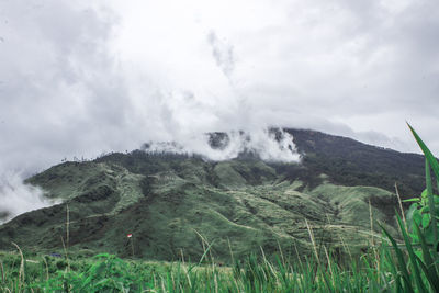 Scenic view of landscape against sky