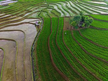 Aerial view beautiful morning view from indonesia about mountain and forest