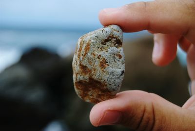 Close-up of hand holding stone