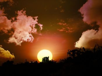 Silhouette trees against sky during sunset