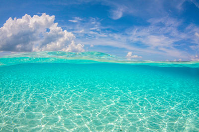 Under over clear blue water and sky 