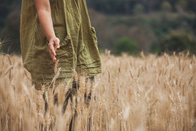 Midsection of woman standing by stalks