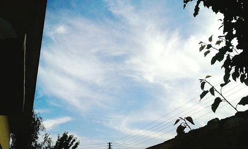 Low angle view of silhouette tree against sky