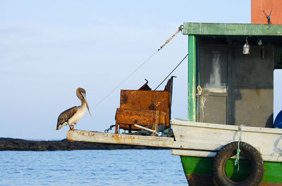 Seagull on a boat in sea against sky