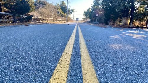 Surface level of road along trees