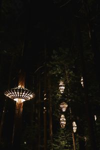 Low angle view of illuminated light bulbs in forest