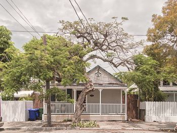 Low angle view of trees and building against sky