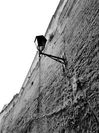 Low angle view of bird perching on wall against clear sky