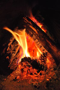 Close-up of bonfire at night